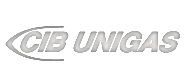 logo_cib-unigas Купить 11020005 Пламенная головка Baltur | Zipgorelok.ru